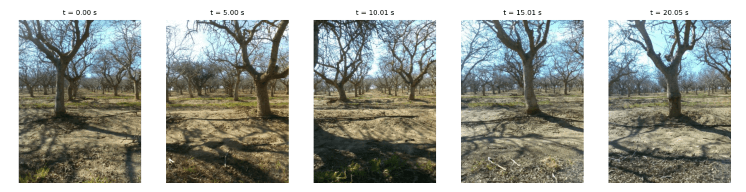 Query Images Example